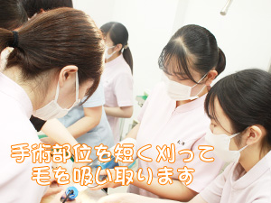 ☆去勢手術実習☆